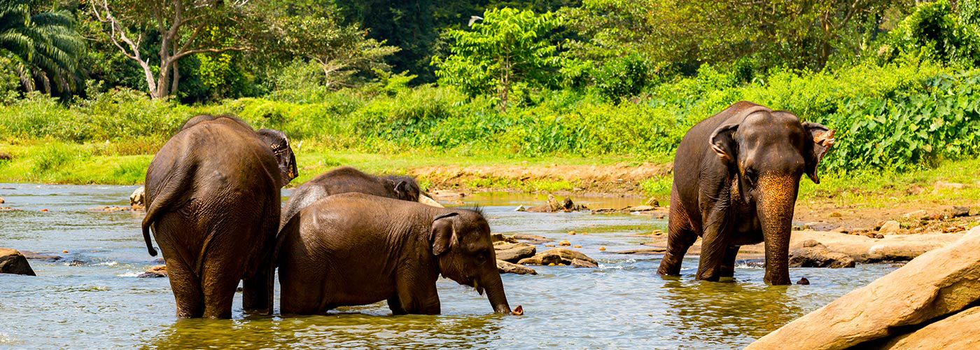 Vaikunth holidays Pvt. Ltd.